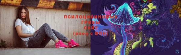 мескалин Богданович