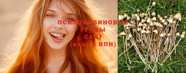 гидропоника Богородицк