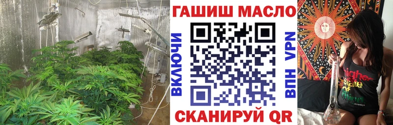 Дистиллят ТГК THC oil  Плёс 