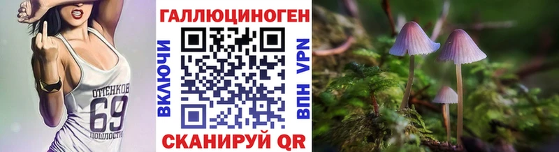 кракен зеркало  Плёс  Галлюциногенные грибы прущие грибы 